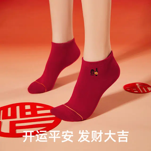 JIAZINI 5