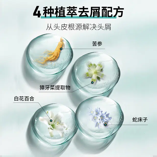 HUANGYAOSHI 480ml