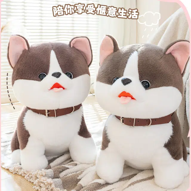 25cm35cm45cm