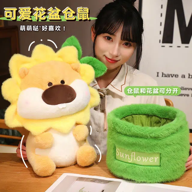 25cm35cm45cm