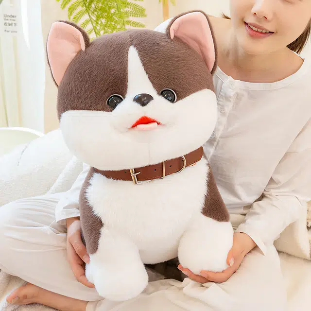 25cm35cm45cm