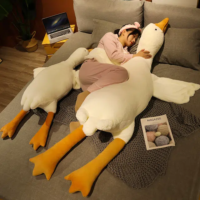 40cm70cm90cm125cm135cm160cm