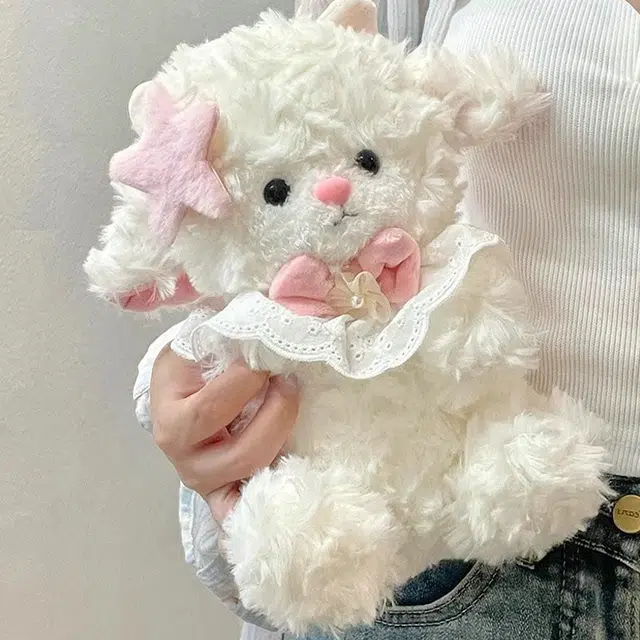 25cm