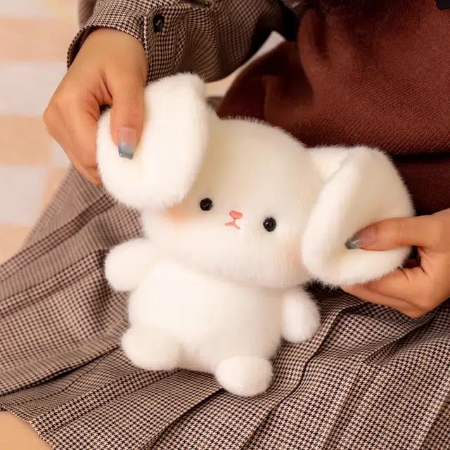 16cm