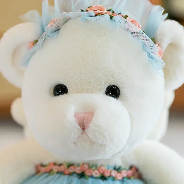 22cm35cm