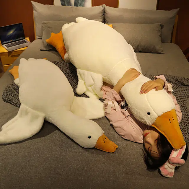40cm70cm90cm125cm135cm160cm
