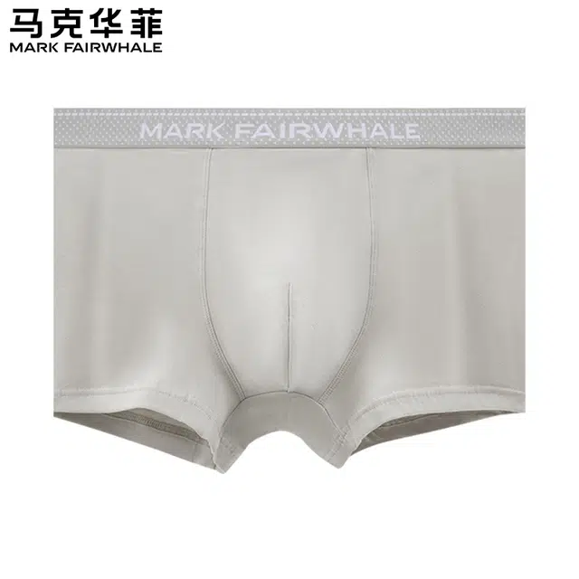 FAIRWHALE 4