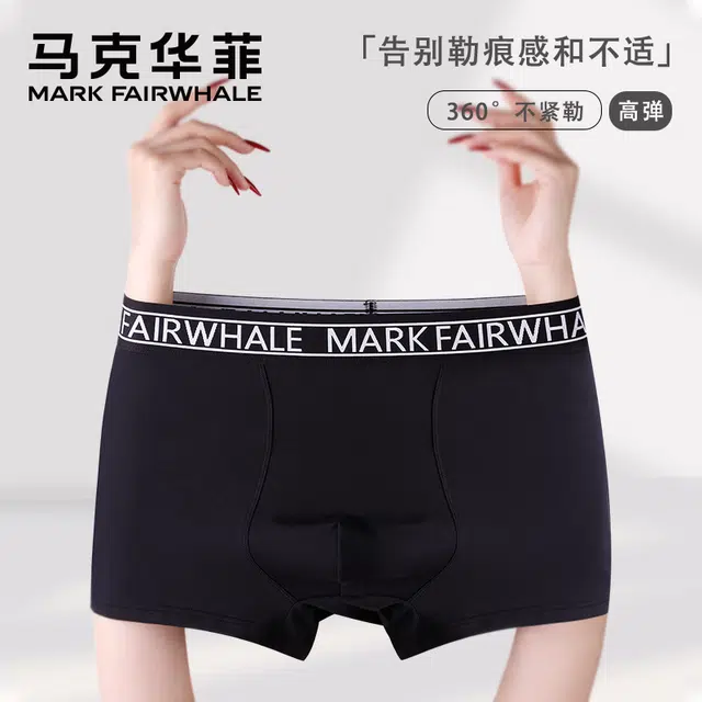 FAIRWHALE 10ALogo 2