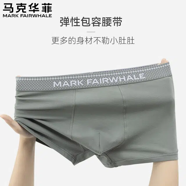 FAIRWHALE 4