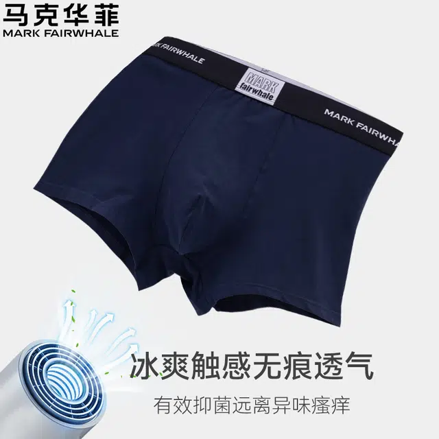 FAIRWHALE 4