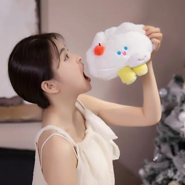 20cm