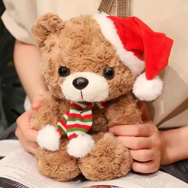 25cm