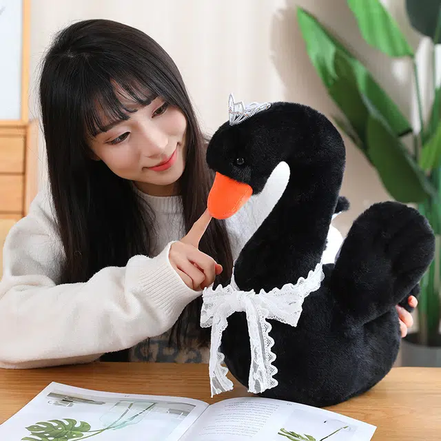 28cm38cm