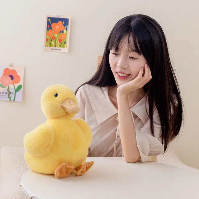 20cm30cm