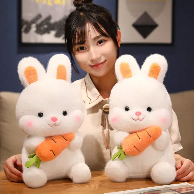 26cm38cm50cm
