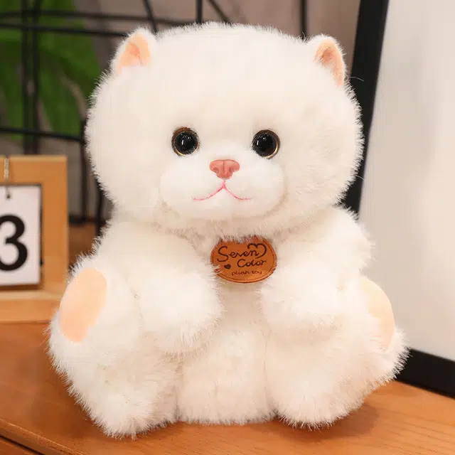 25cm35cm
