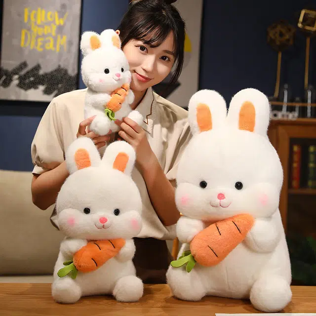 26cm38cm50cm