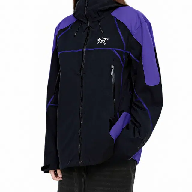 Arcteryx GORE-TEX LOGO