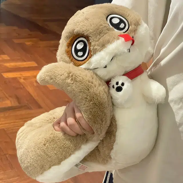 20cm30cm40cm