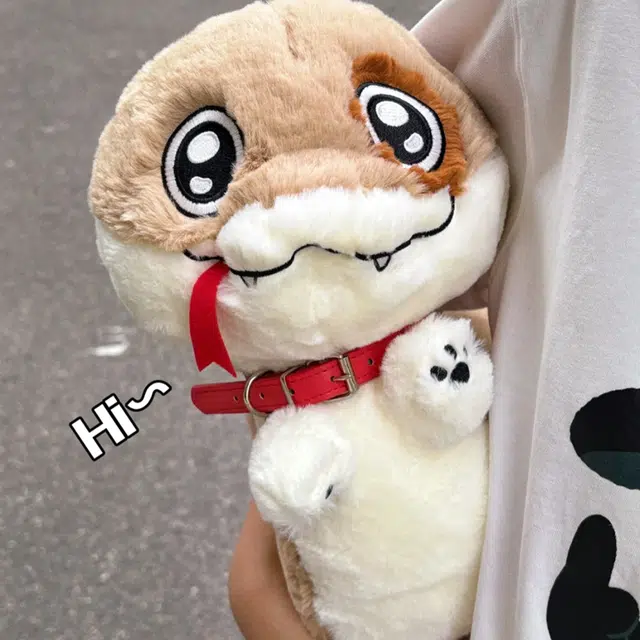 20cm30cm40cm