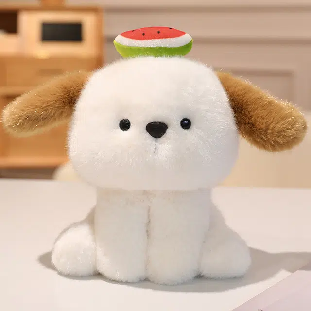 20cm