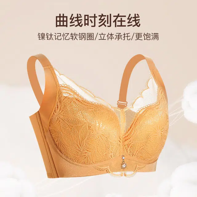 秀黛 大胸显小透气蕾丝专柜同款收副乳上托聚拢文胸 女款