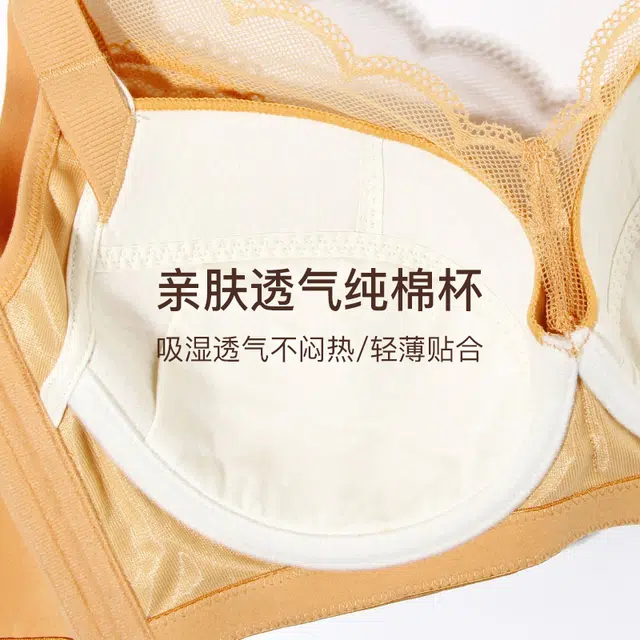 秀黛 大胸显小透气蕾丝专柜同款收副乳上托聚拢文胸 女款