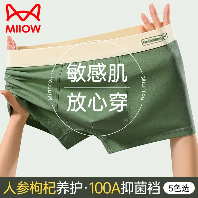 MIIOW 100A 3