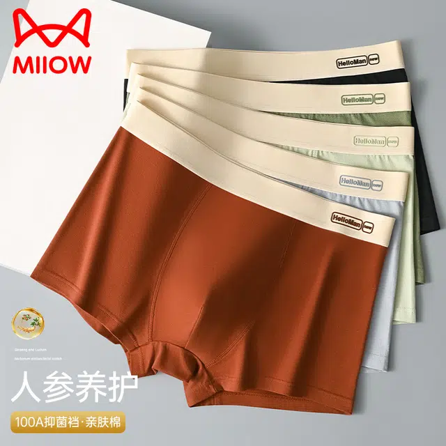 MIIOW 100A 3