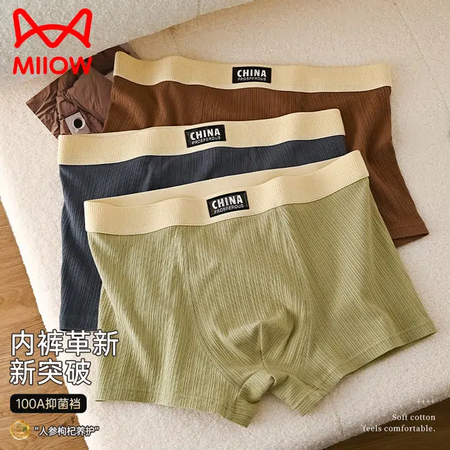 MIIOW 100A 3