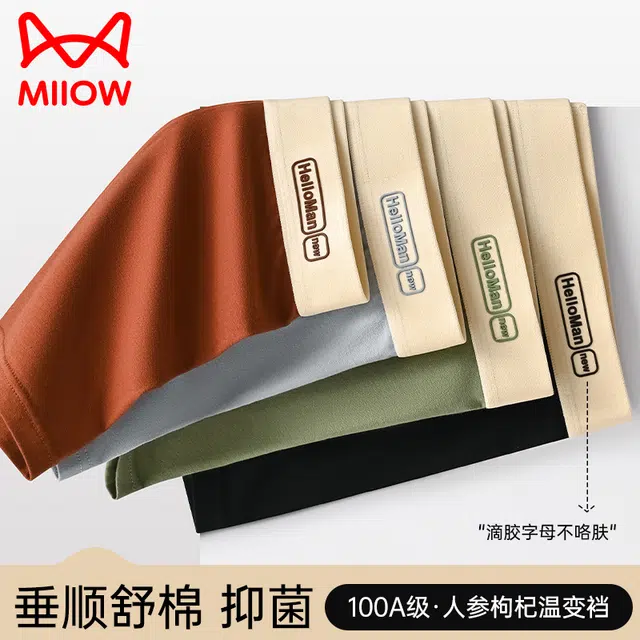 MIIOW 100A 3