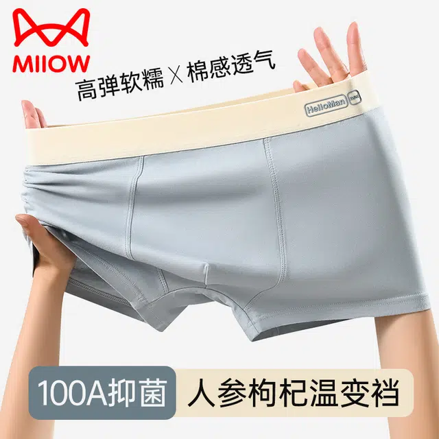 MIIOW 100A 3