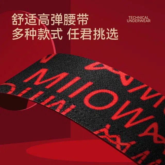 MIIOW 2+2