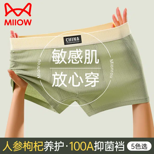 MIIOW 100A 3