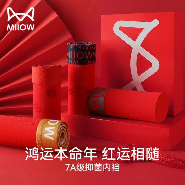 MIIOW 2+2