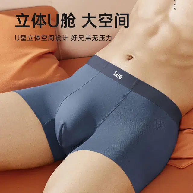 Lee 1