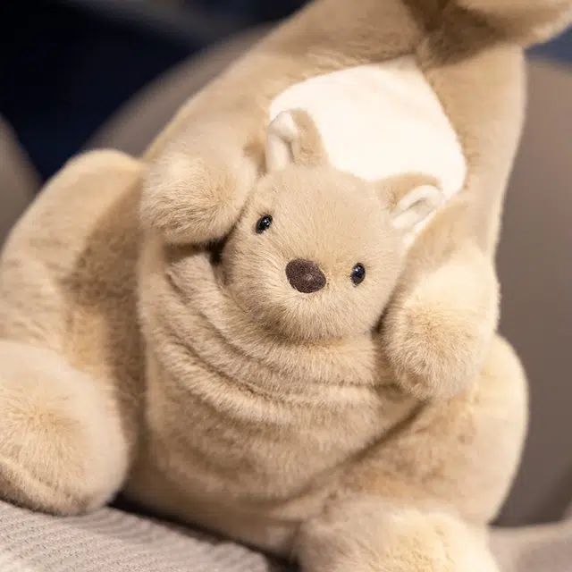 OU DI PIG 22cm35cm