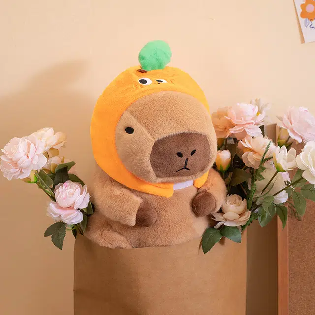 OU DI PIG 30cm40cm