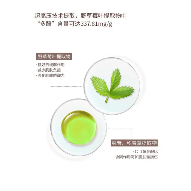 芭贝拉 匀润修护彩妆套装 控油清透服帖提亮肤色滋润遮瑕修饰肤色水光