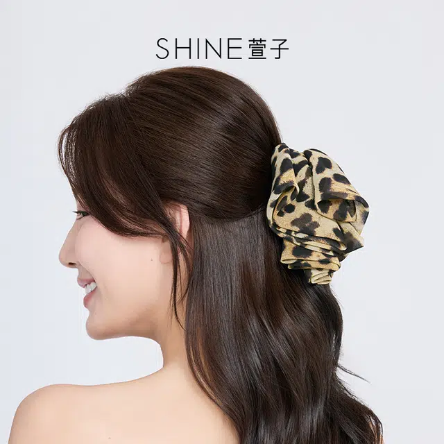 SHINE +PC