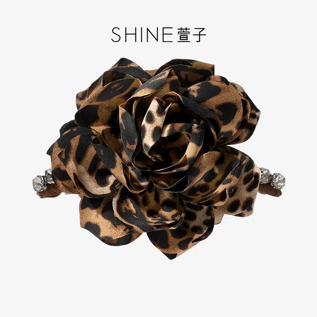 SHINE +ABS