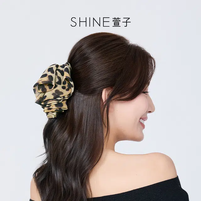 SHINE +PC