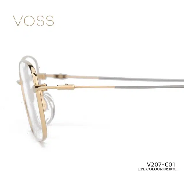 VOSS
