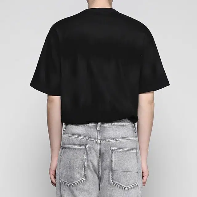RAYSHOW T
