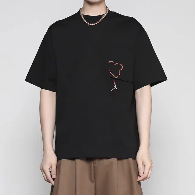 RAYSHOW T