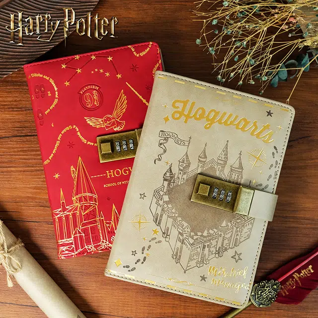 HARRY POTTER IP