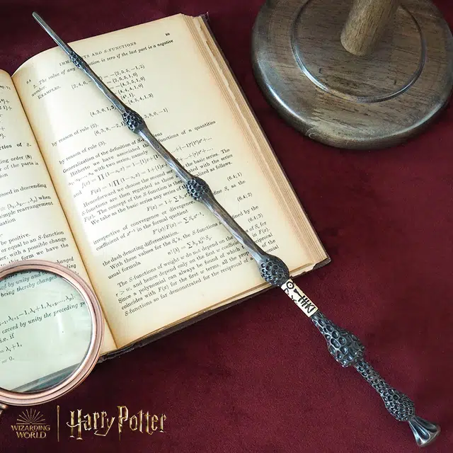 HARRY POTTER IP