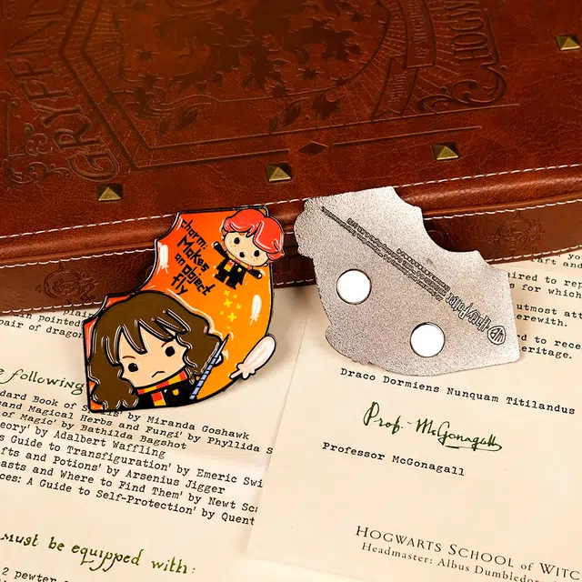 HARRY POTTER diy
