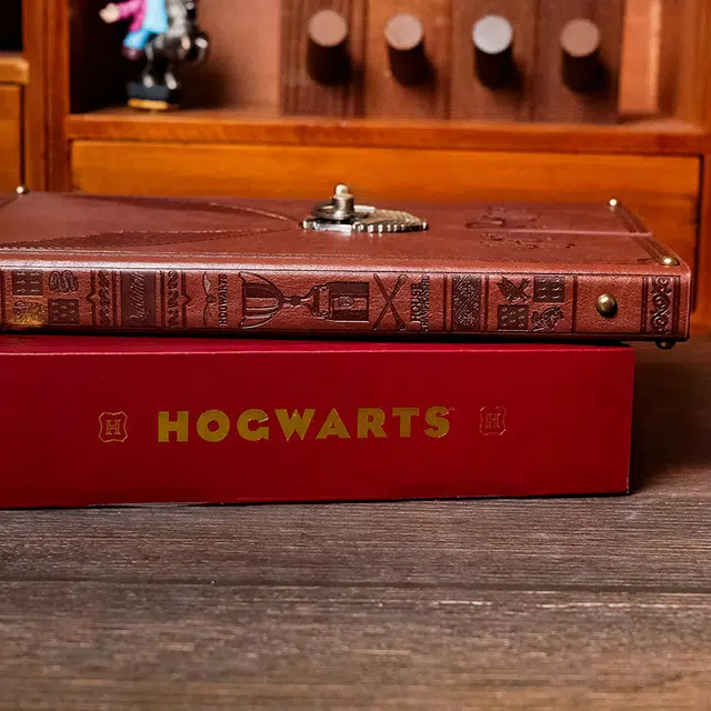 HARRY POTTER IP