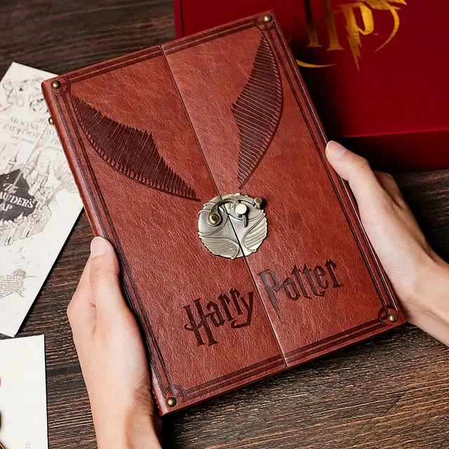 HARRY POTTER IP